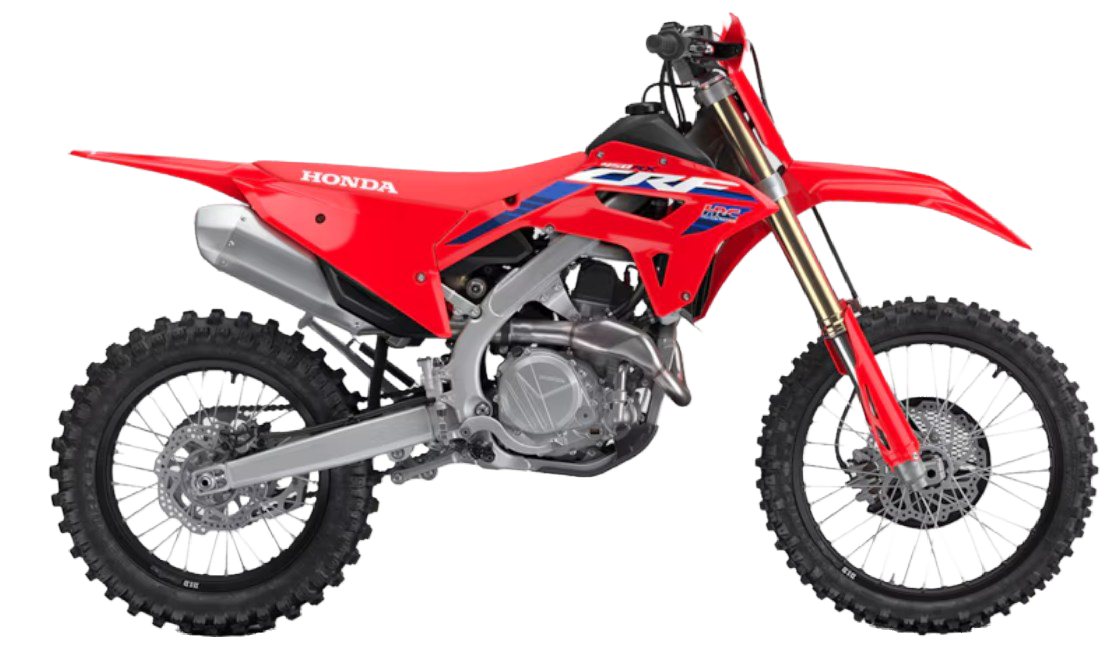 Model Image